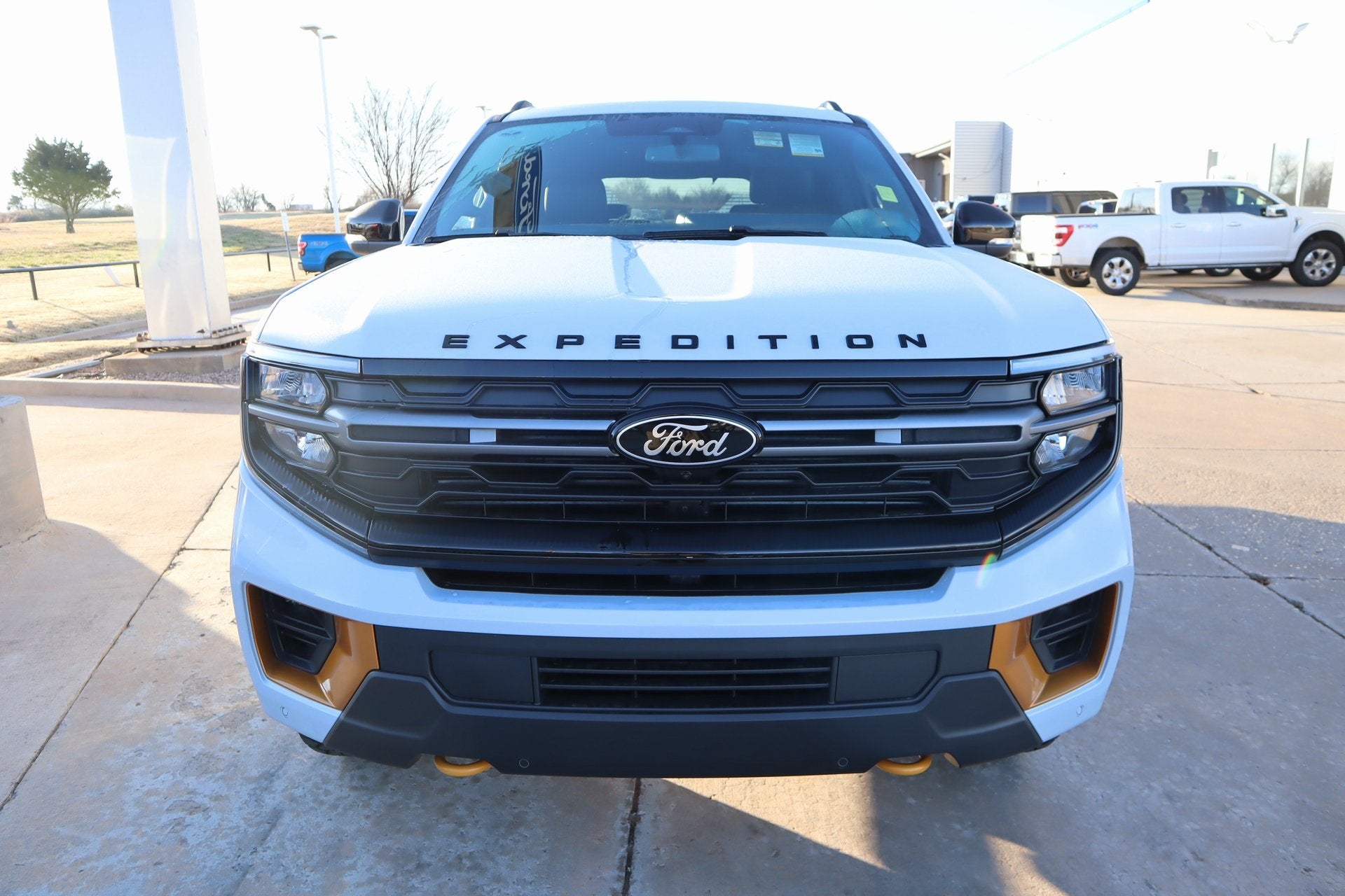 2025 Ford Expedition Tremor