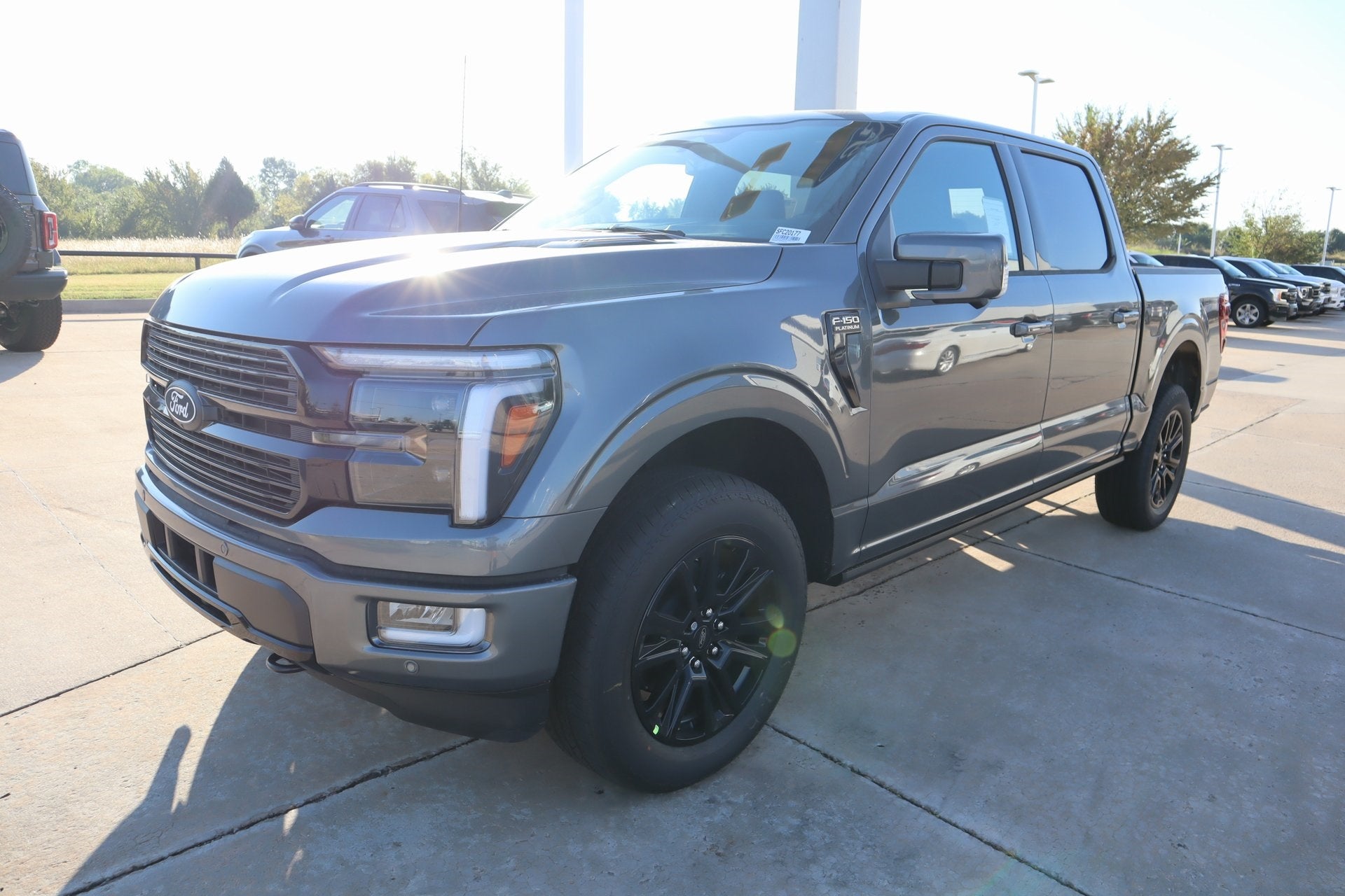 2025 Ford F-150 Platinum