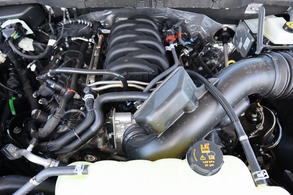 2025 Ford F-150 STX SERVICE LOANER